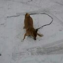 John Limb - @limb_john - Twitter