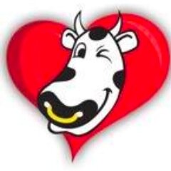 I'm Lloyd the Cow, brand evangelist for Lloyd's Auto Glass. Keeping you informed about the auto industry and the team at Lloyd's Glass in Northwest Florida.