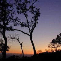 Jose Antonio (@jmora715) 's Twitter Profile