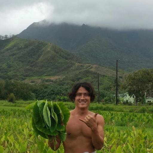 thekauaidiet's profile picture. 