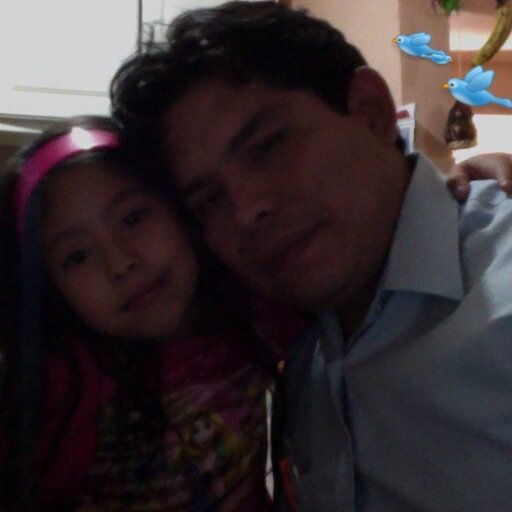 biolorojas's profile picture. 