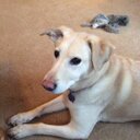 Barbara Lofgren - @barlofgren - Twitter