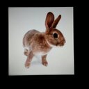 Karin Geiger - @karin_geiger - Twitter