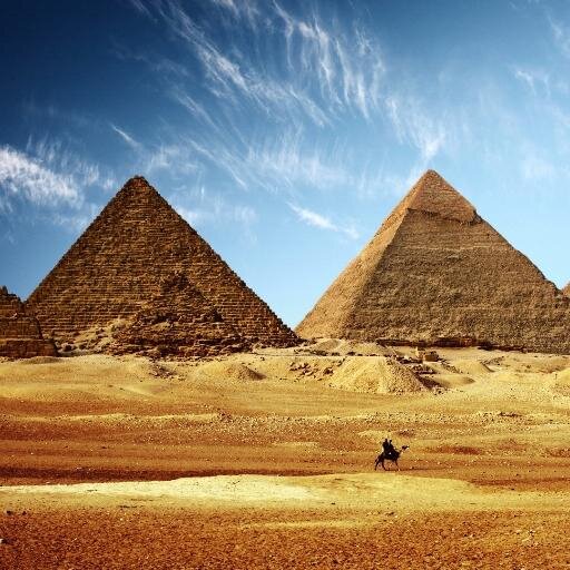 [ Egypt News ]