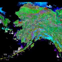 Alaska News Now (@alaskanewsnow) Twitter profile photo