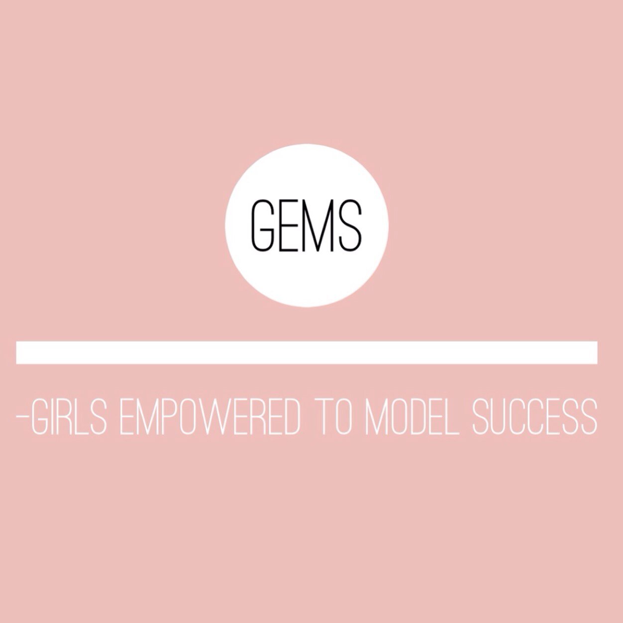 GEMS is a nonprofit agency focused on providing comprehensive services to meet the developmental, social & intellectual needs of adolescents & young adults.
