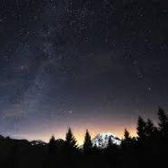 the time between evening and morning; the time of darkness.