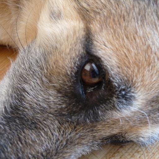 BrunaLrkn's profile picture. 