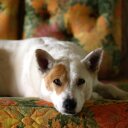 Luca Smith-Robinson - @WonderMut - Twitter