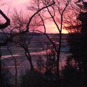 Susan Brownell - @susrenbro - Twitter