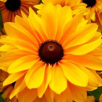 Jasmin (@jasi2106) 's Twitter Profile