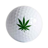 BrewsAndBirdies (@brewsandbirdies) 's Twitter Profile