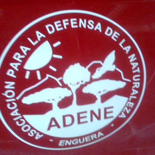 AdeneGeifa's profile picture. 