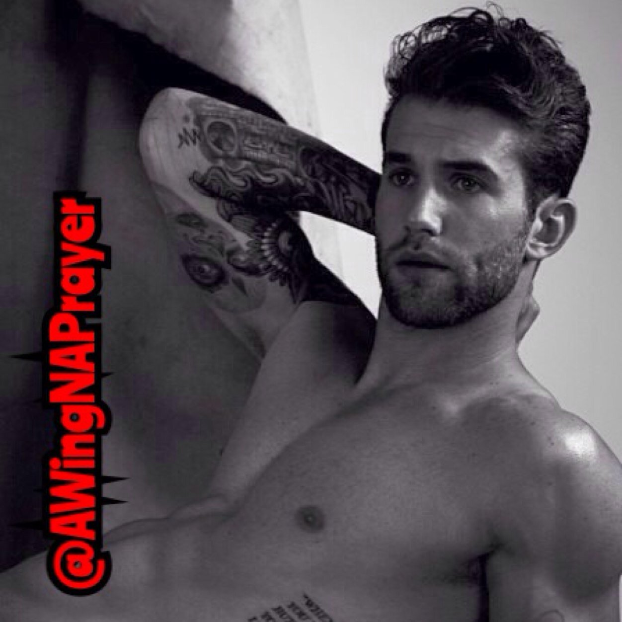 AWingNAPrayer's profile picture. Feet are made for walking but wings are for soaring. And I prefer the skies over the ground / Shifter/Hawk / RP / MC 18+ Inactive