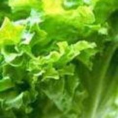 gimpeise's profile picture. 