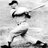 Baseball1960s's profile image