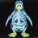 PinguimPintelhudo - @VascoCosta12 - Twitter