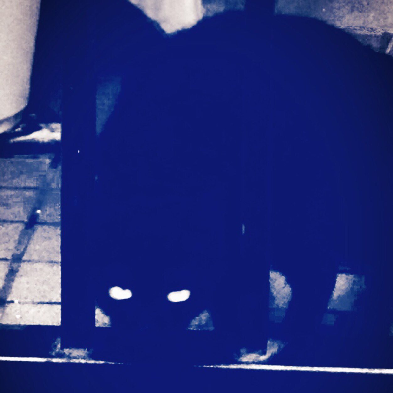 kydpyy's profile picture. 