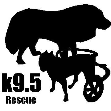 k95rescue Profile Picture