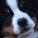 Sandy Dunaway - @SandyDunaway - Twitter