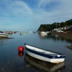 An elegant portal to the best businesses in South Devon.