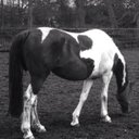 vanessa croft-taylor - @rosetherocket - Twitter