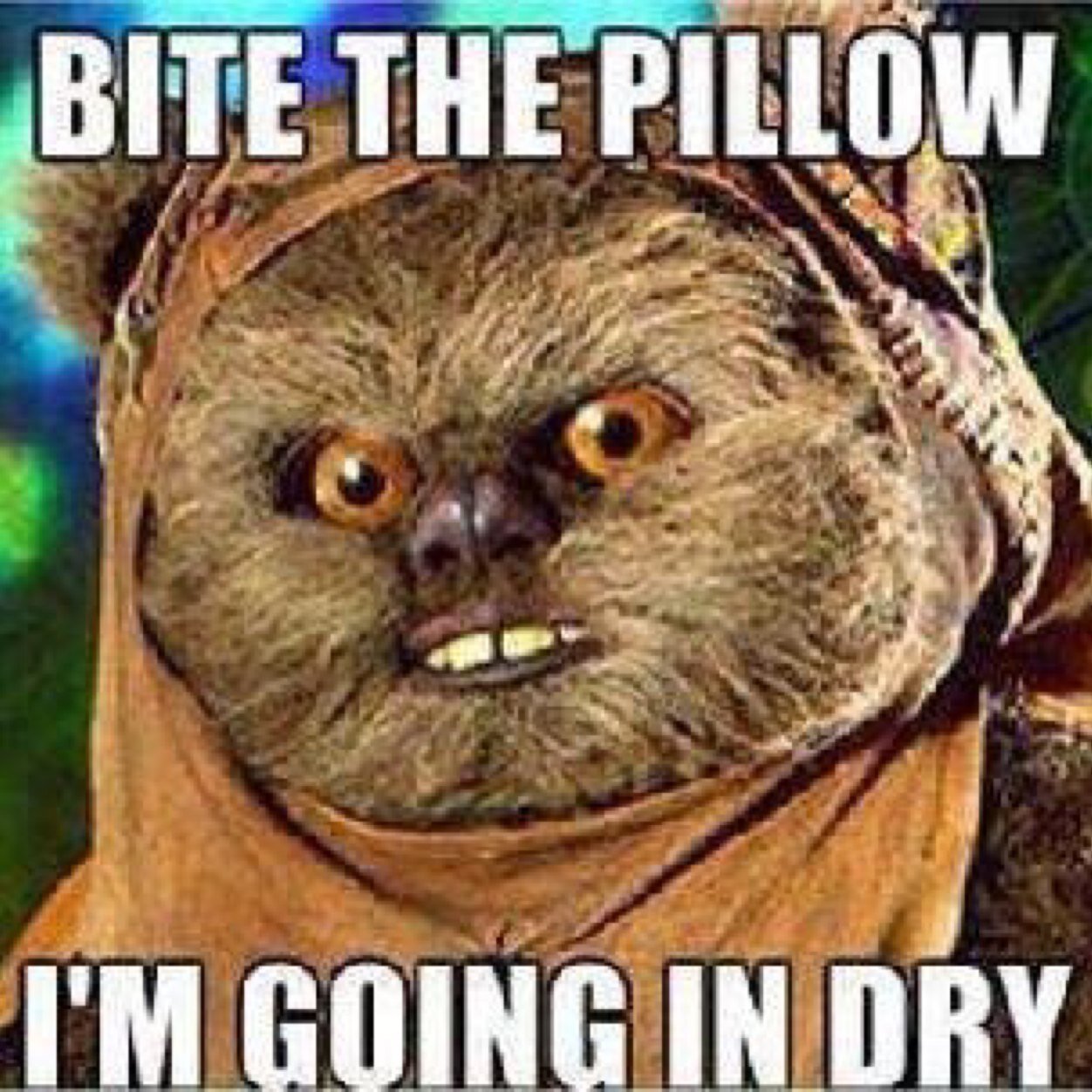 peedie_breeks21's profile picture. 