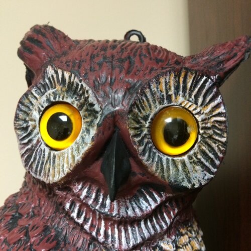 FBCfuse's profile picture. First Baptist Thomasville Student Ministry