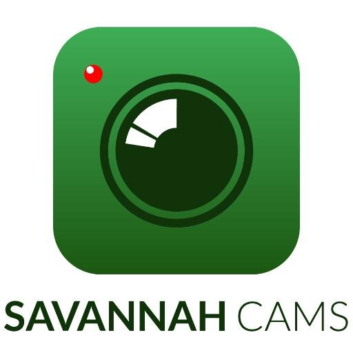 Savannah Cams