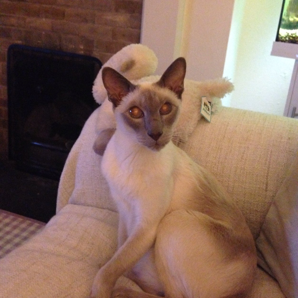 LovejoyAlison's profile picture. 