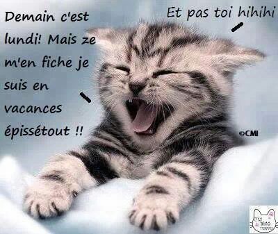 Chieuse A Plein Temp Allblacks45 Twitter