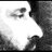 KARAKOC's profile image