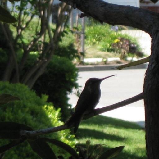 ijon's profile picture. 