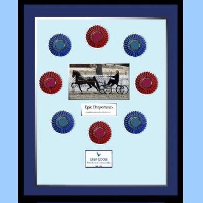 Museum-quality framing of horse show ribbons, buckles, medals, sashes and race horse memorabilia