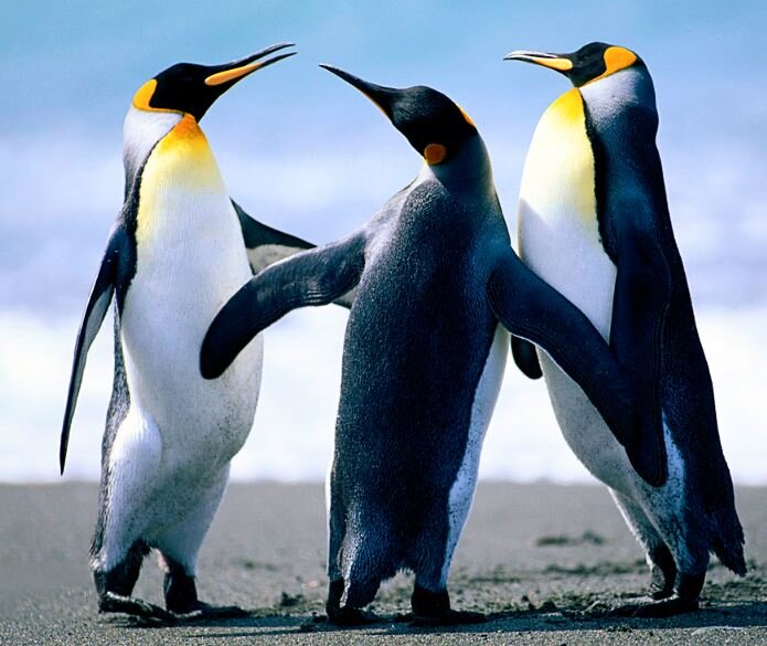 leaofm's profile picture. Ralis, actualidade política, socialismo e o prazer da leitura...