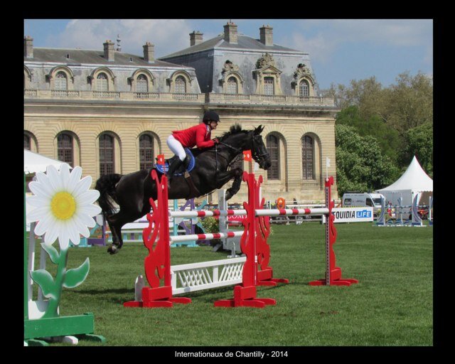 Miriam_Goddard's profile picture. Website Designer and ShowJumper. Brand Ambassador for @mustoclothing