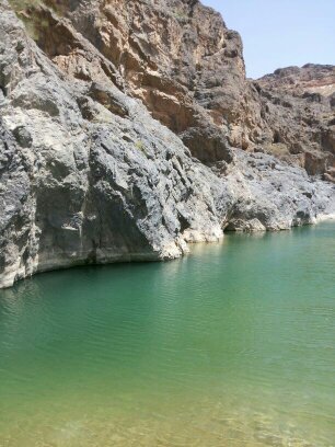 fhd962's profile picture. 