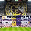 DECIMA (@023251b9de654fb) Twitter