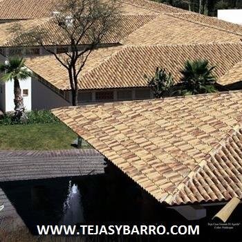 a  sus  ordenes  en  tejas  y  barro  de  leon