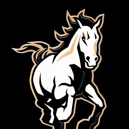 Snag a photo of fellow Mustangs making out on the dance floor? Send a Snapchat to mustymakeouts or mention us in your Tweet!
