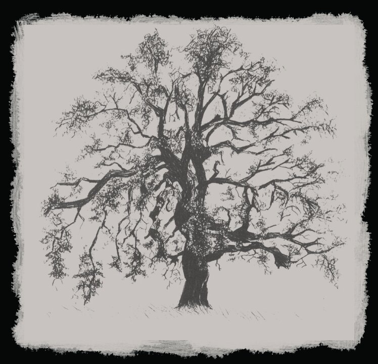 Winemaker51's profile picture. A boutique winery located In the OC, nestled amongst the Oak trees of Trabuco Canyon.