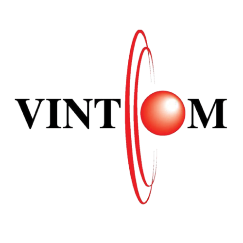 To be the best leading IT professional services