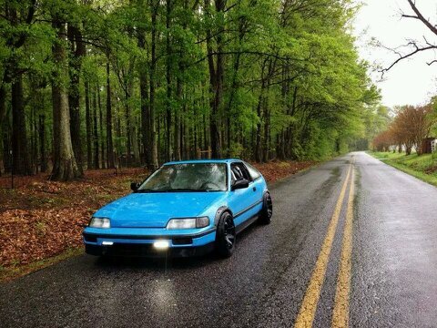 brownlie3's profile picture. live your life freely