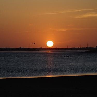 Neilaruiz's profile picture. !AH MUNDO PARAGUANERO REACCIONA!
Y reaccionó mi pueblo...basta de aguantar pela en nombre de nada ni nadie. A luchar y exigir lo que merecen carajo!!