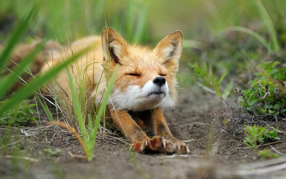Possibilista, sognatore, appassionato di fotografia, tecnologia, orologi, fantasy e fantascienza. Videogiocatore incallito, adoro gli animali; love Linux.