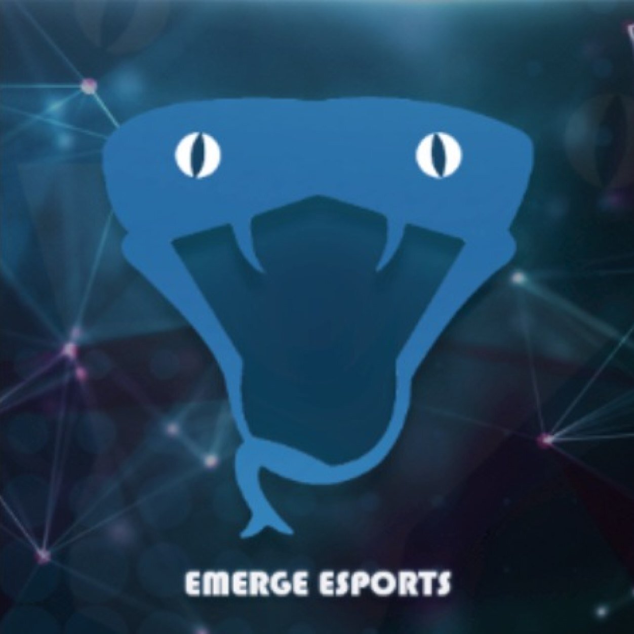 We are a UK Competitive Call Of Duty Team, will be attending all future UK LANS! #TeamEmerge