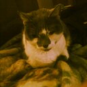 jordyn David Smith  - @JordynSmith2000 - Twitter