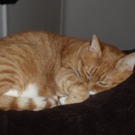 kristysmom55's profile picture. I'm a retired single lady and very happy