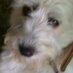 Socorro Varela (@sokovarela) Twitter profile photo Socorro Varela (@sokovarela) Twitter profile photo