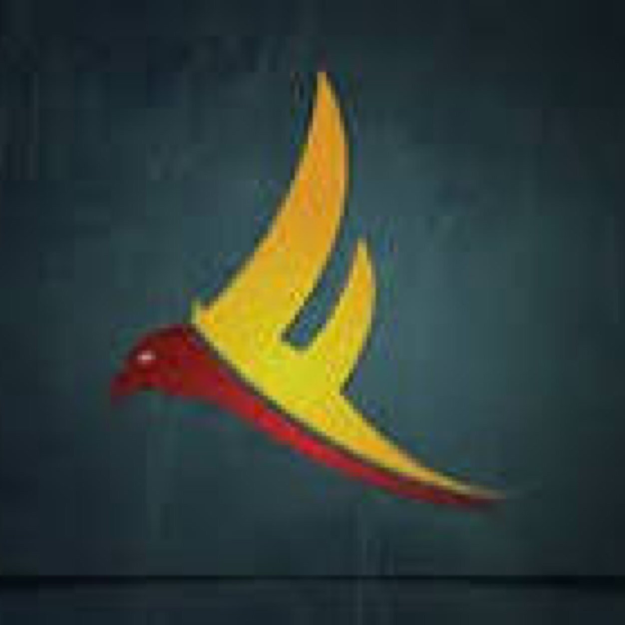 Lets go for 250 followers!